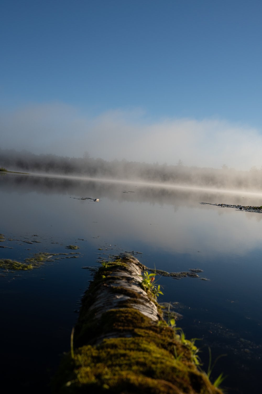Photograph of fog over a lake, un edited, color and contrast are flat.