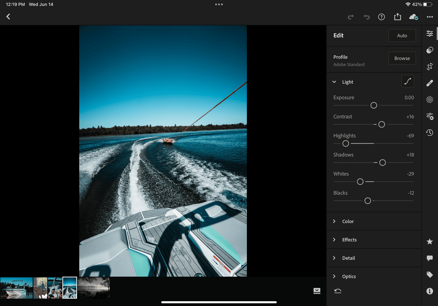 Screen shot of Lightroom on iPad showing the possible adjustments. 