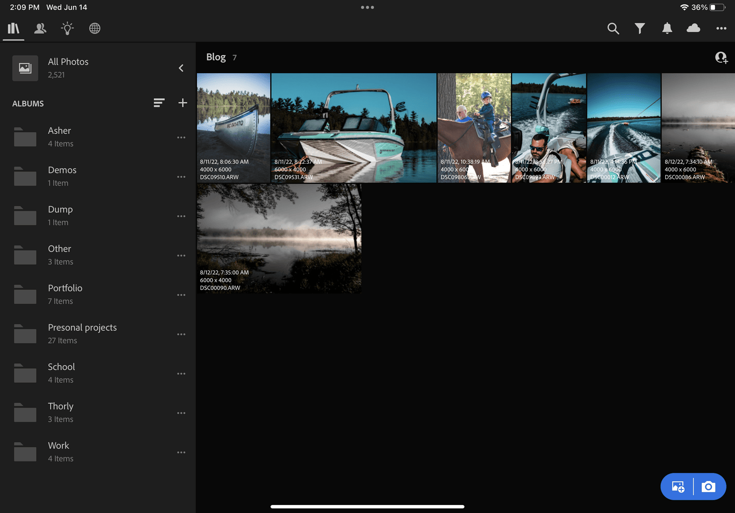 Screen shot of Lightroom on iPad showing the Gallery Feature. 